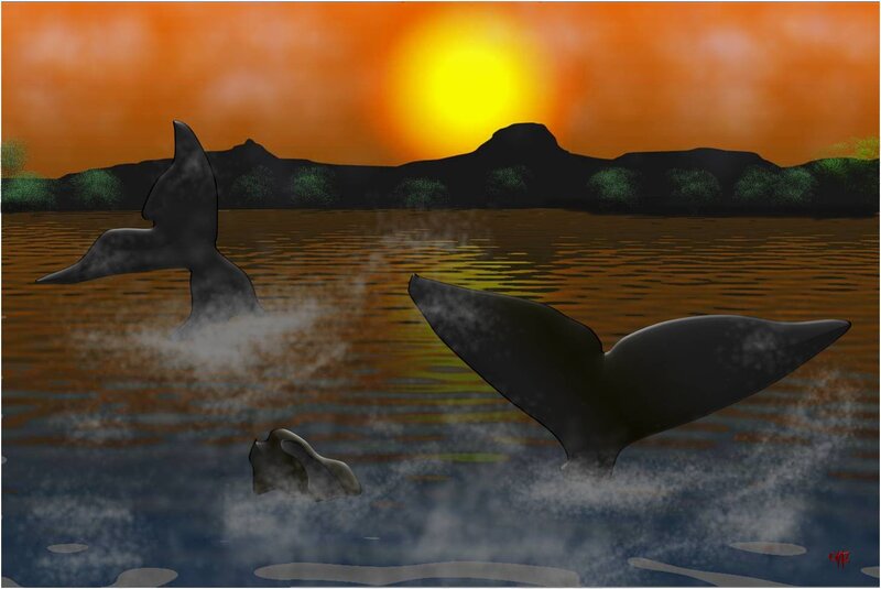 Whale Tails in Water