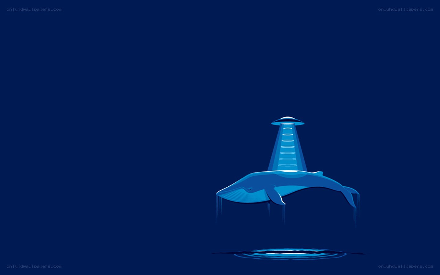 whale under alien beam