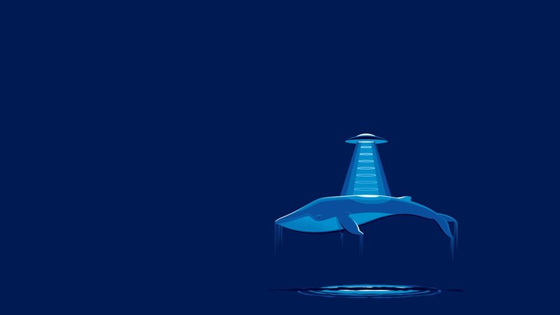 Whale under Beam