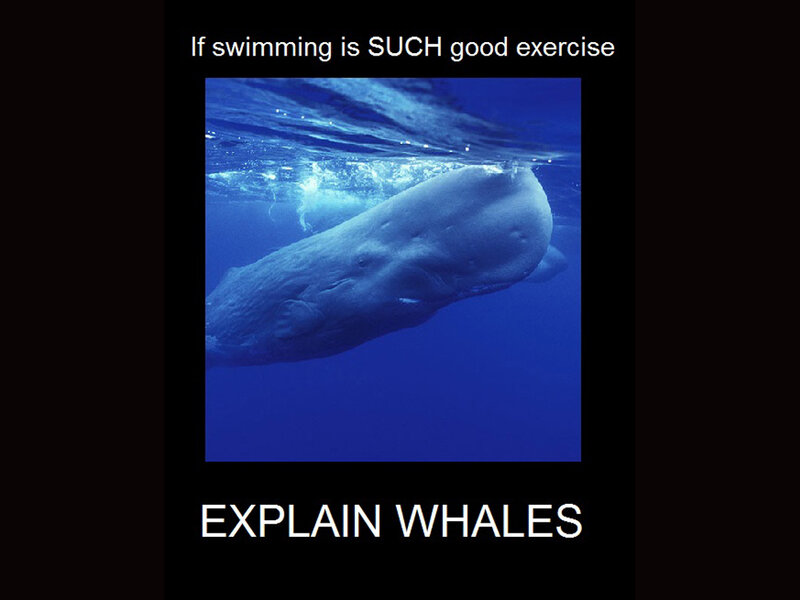 Whale Underwater