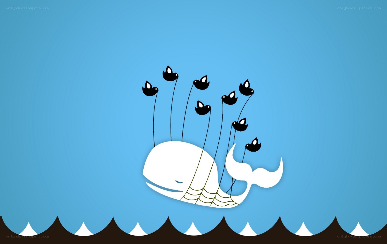 whale with birds illustration