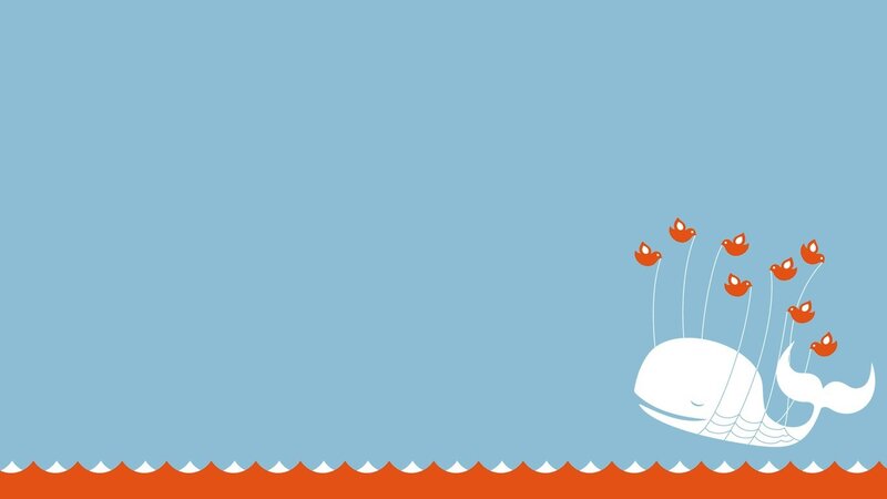 whale with birds illustration