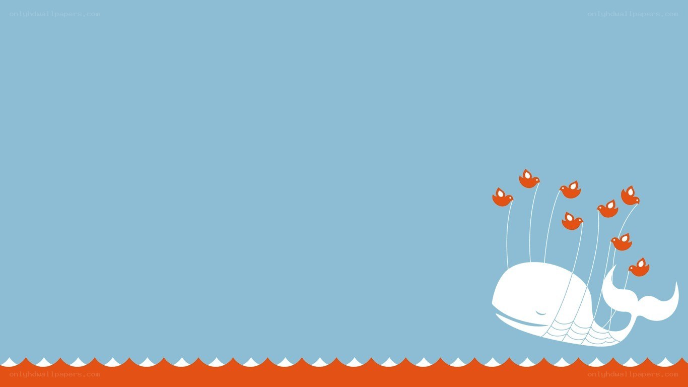whale with birds illustration
