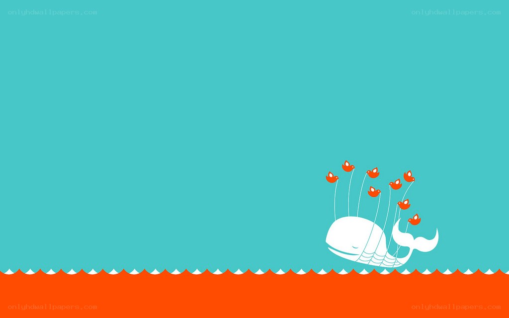 whale with birds illustration
