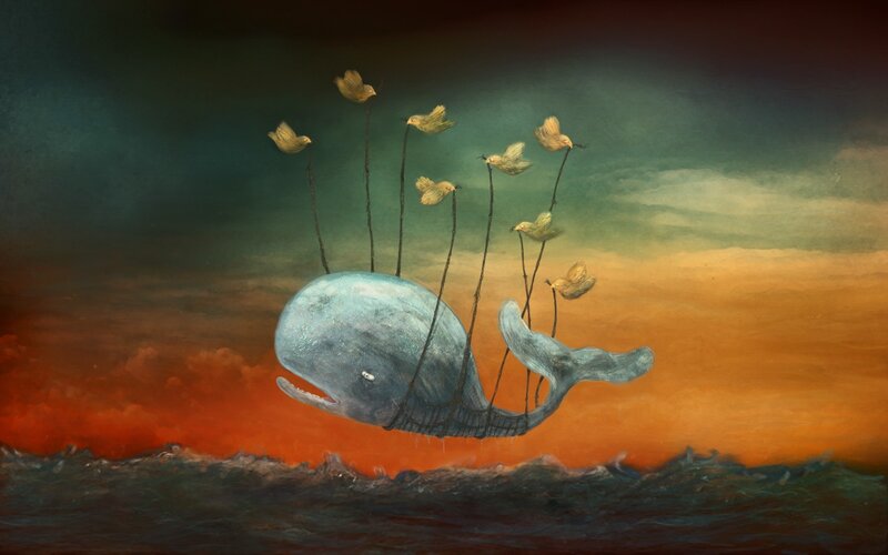 Whale with Birds