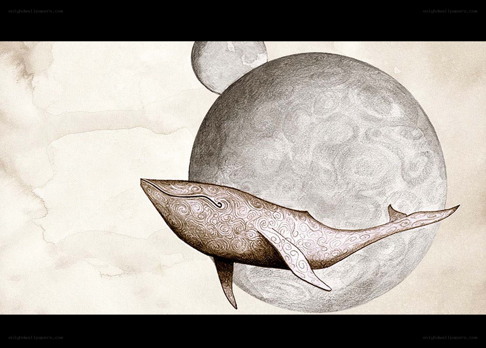 whale with celestial background