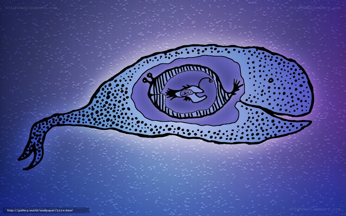 Whale with embryo illustration