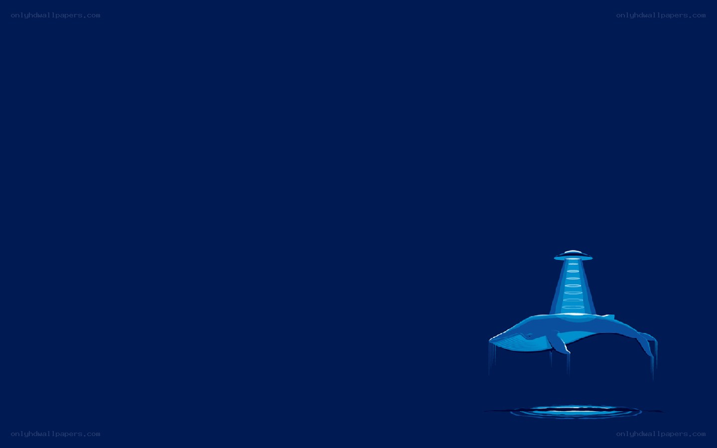 whale with glowing tower