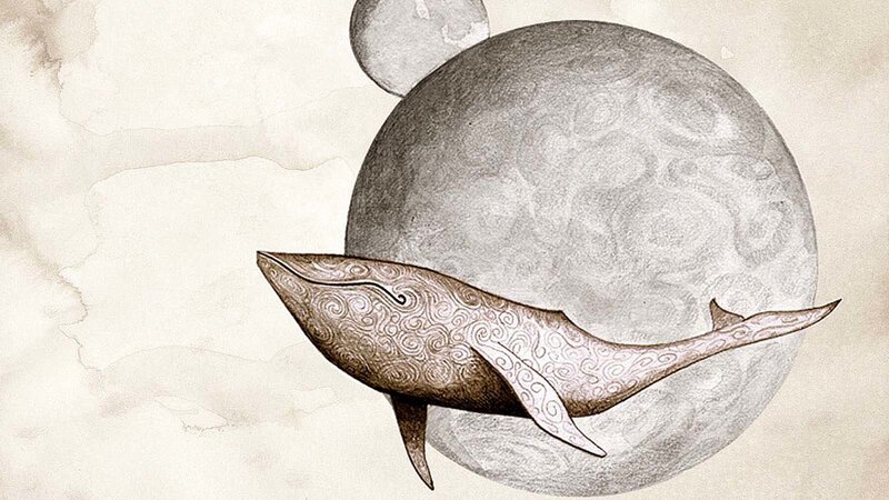 Whale with Spiral Patterns