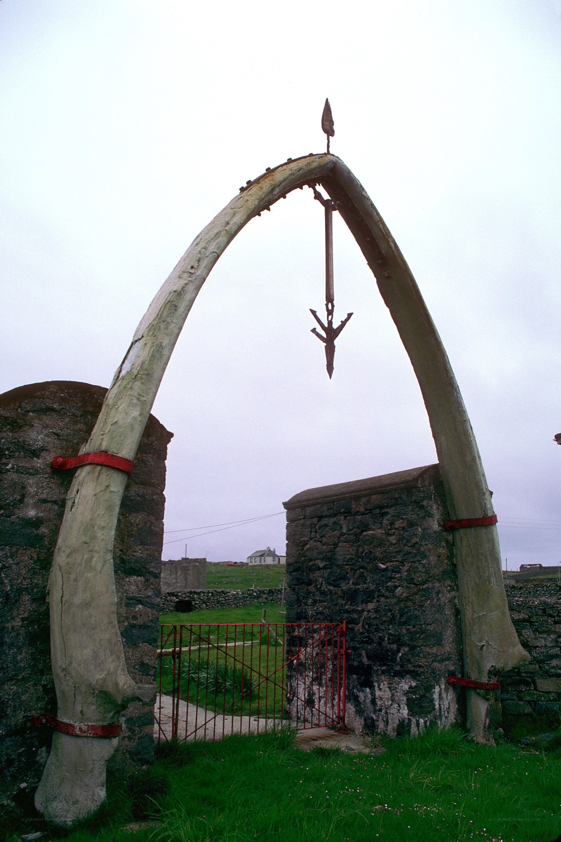 Whalebone arch at a coastal site