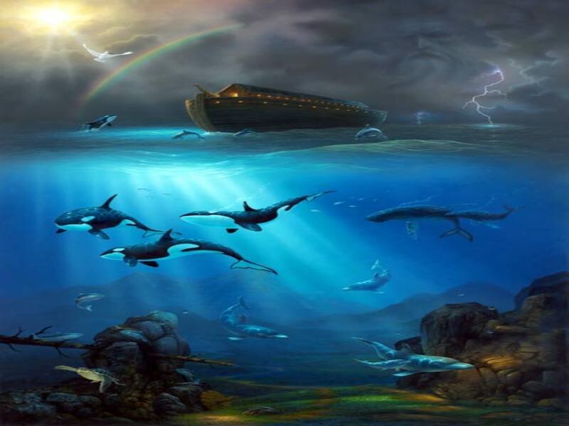 Whales and Ark