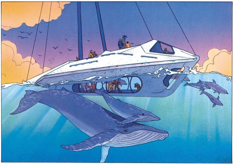 Whales and Boat