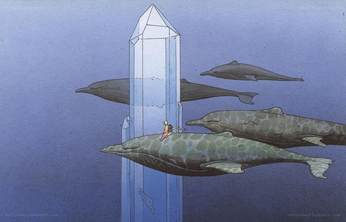 whales and crystal tower