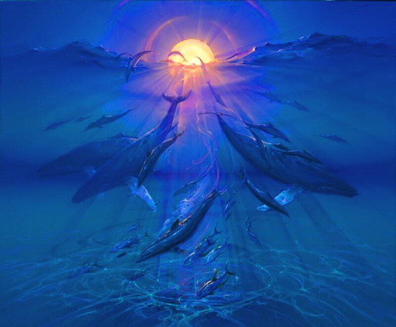 Whales and Fish in Ocean