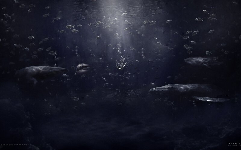 Whales and Fish Underwater
