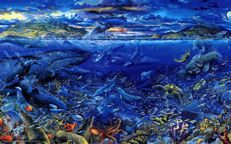 Whales and marine life underwater