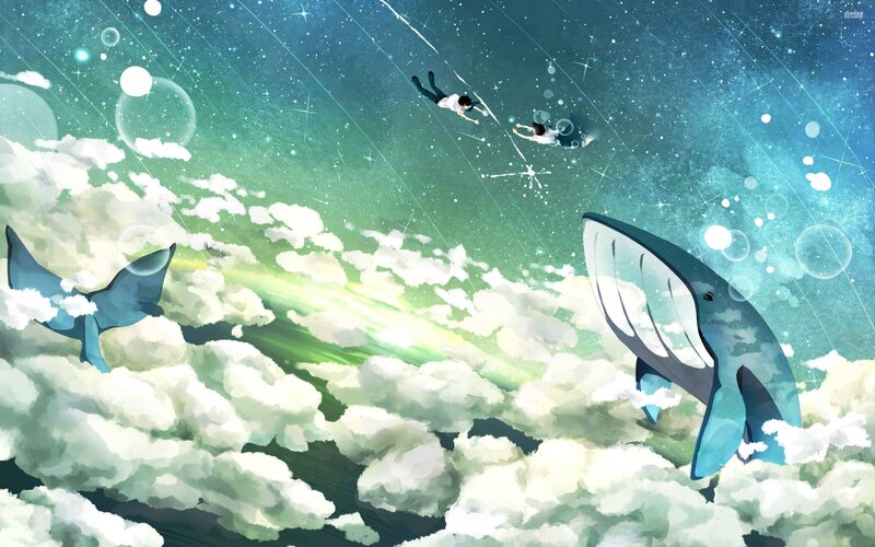 Whales and People in Sky