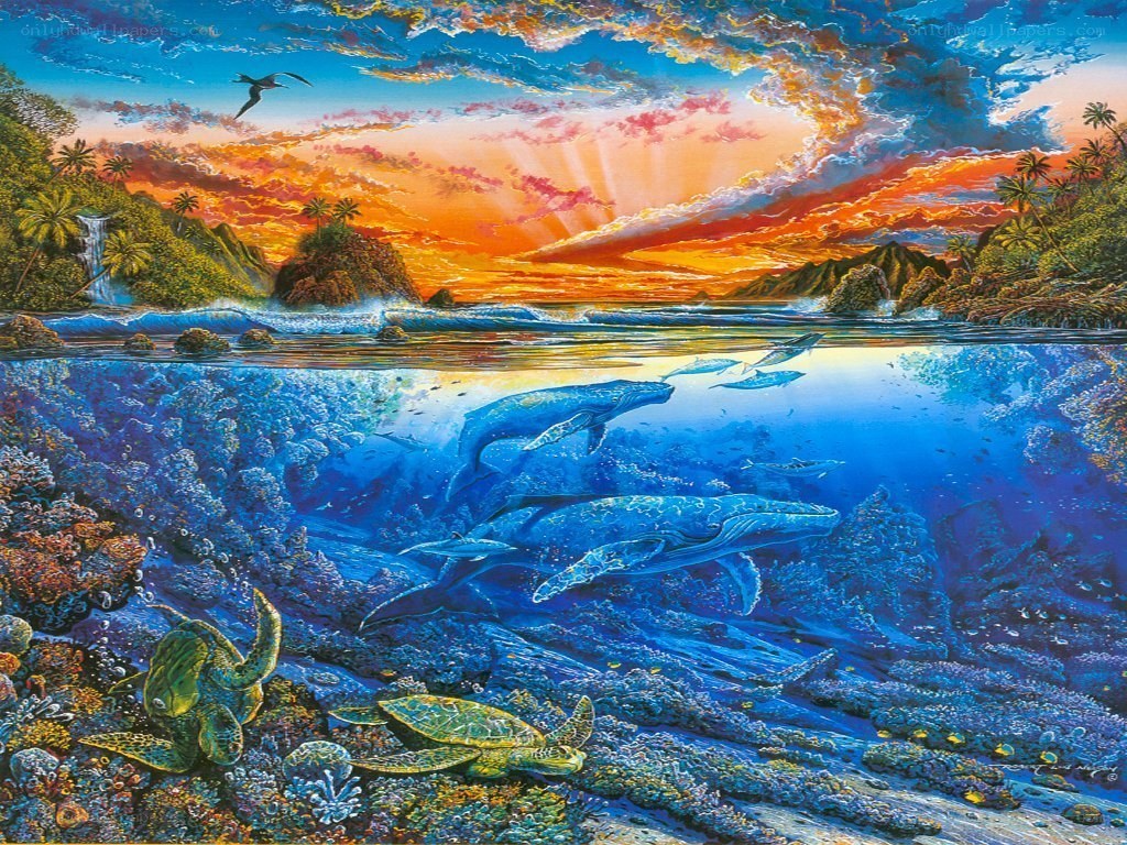 Whales and sea turtles at sunset