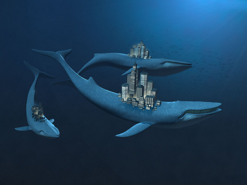 Whales carrying cities underwater