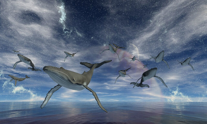 Whales flying in a starry sky