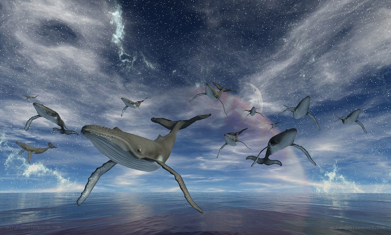 Whales flying in a starry sky