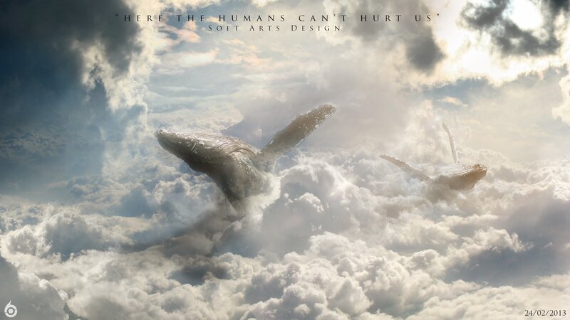 whales flying in clouds