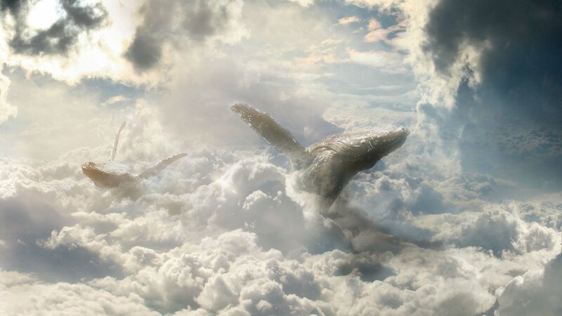 Whales Flying in Clouds — White