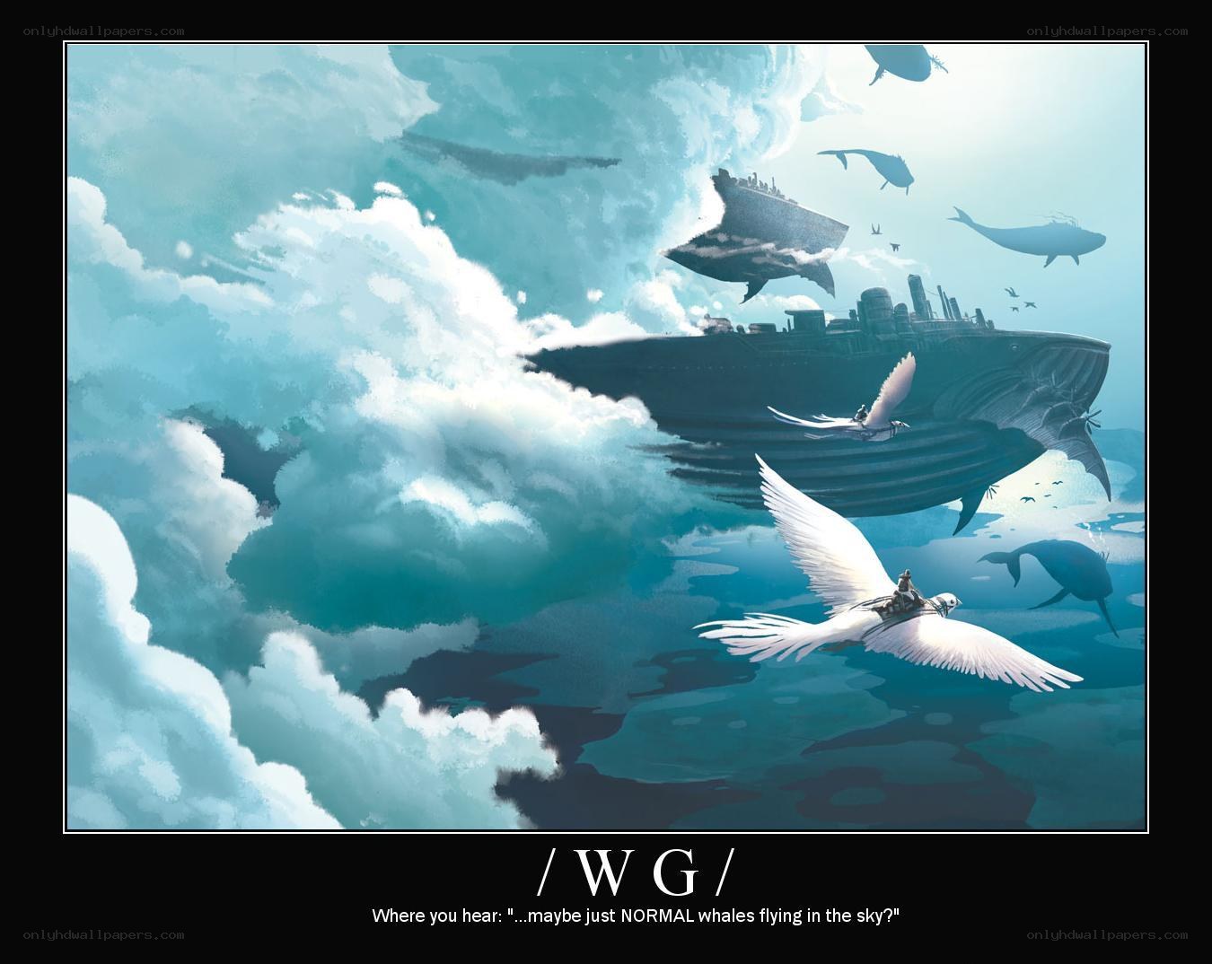 whales flying in the sky