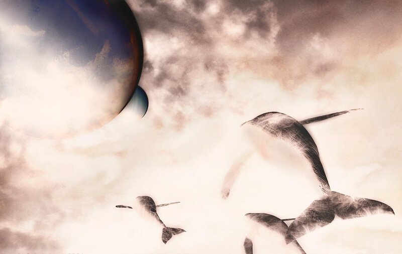 Whales in a surreal sky