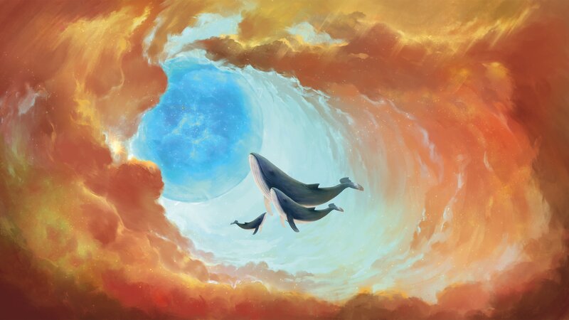 Whales in a Vortex