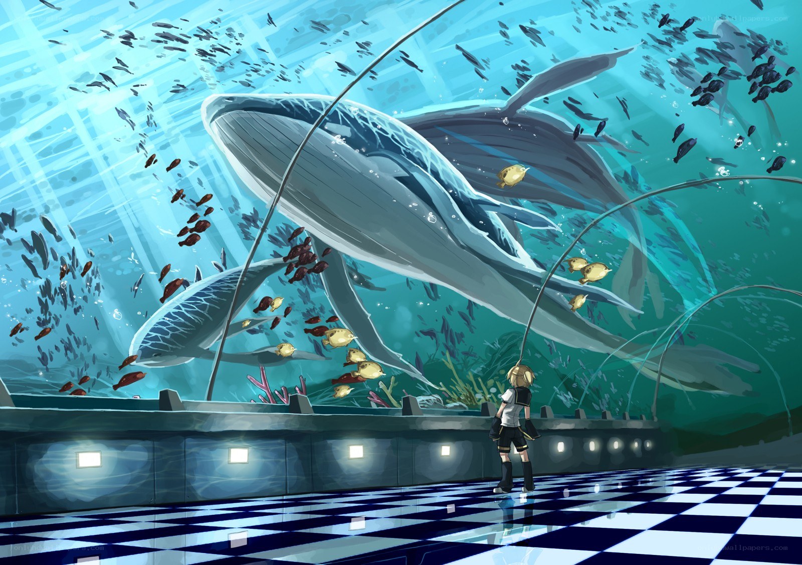 Whales in an aquarium