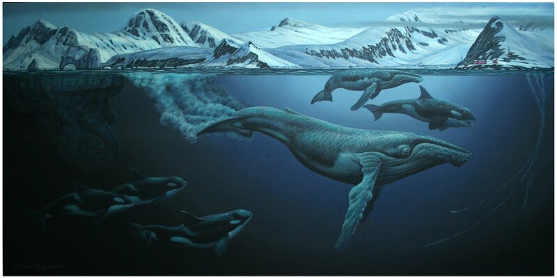 Whales in Arctic Waters