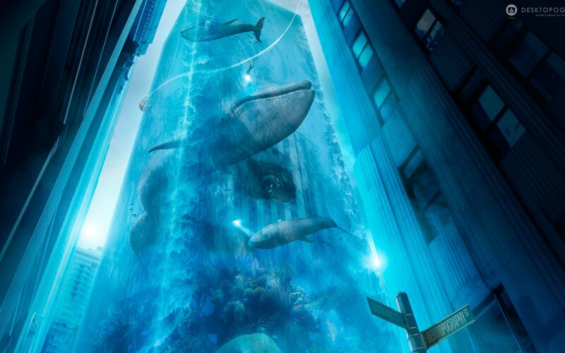 Whales in City Canyon