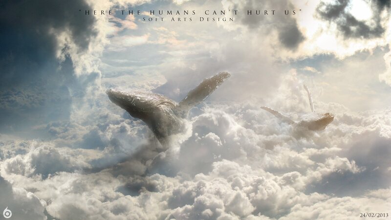 Whales in Clouds — White
