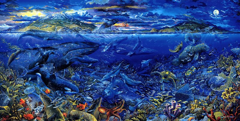 Whales in Coral Reef