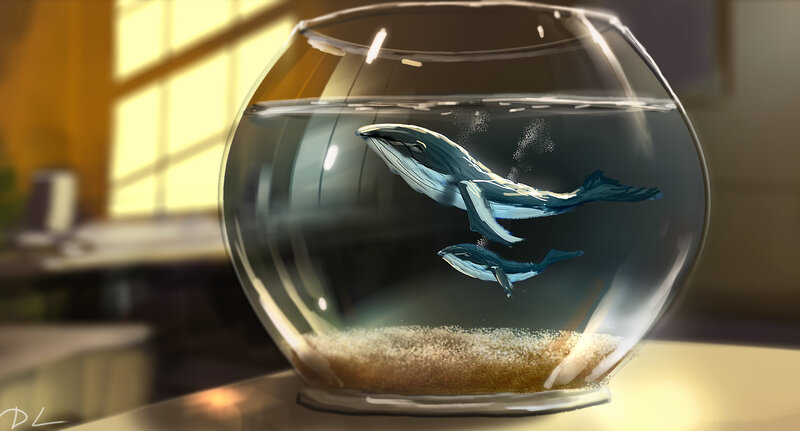 Whales in Fishbowl
