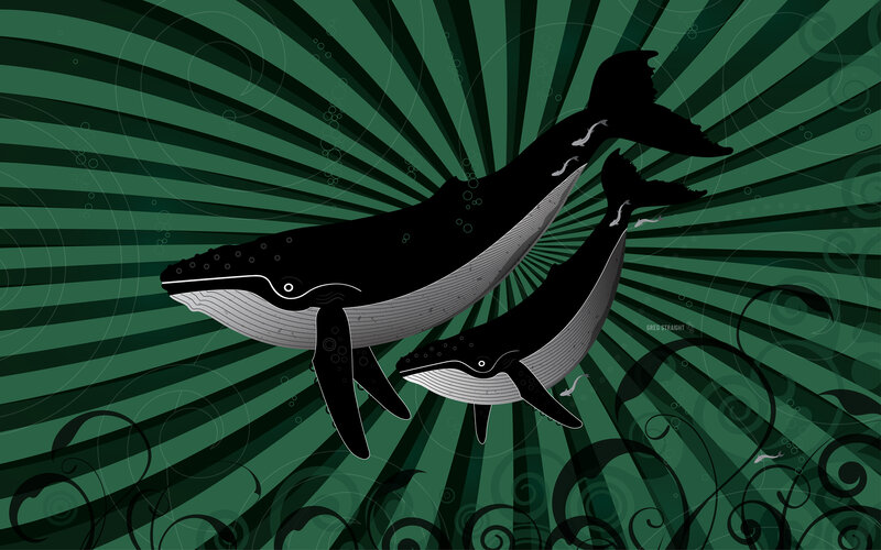 Whales in Green Radiance