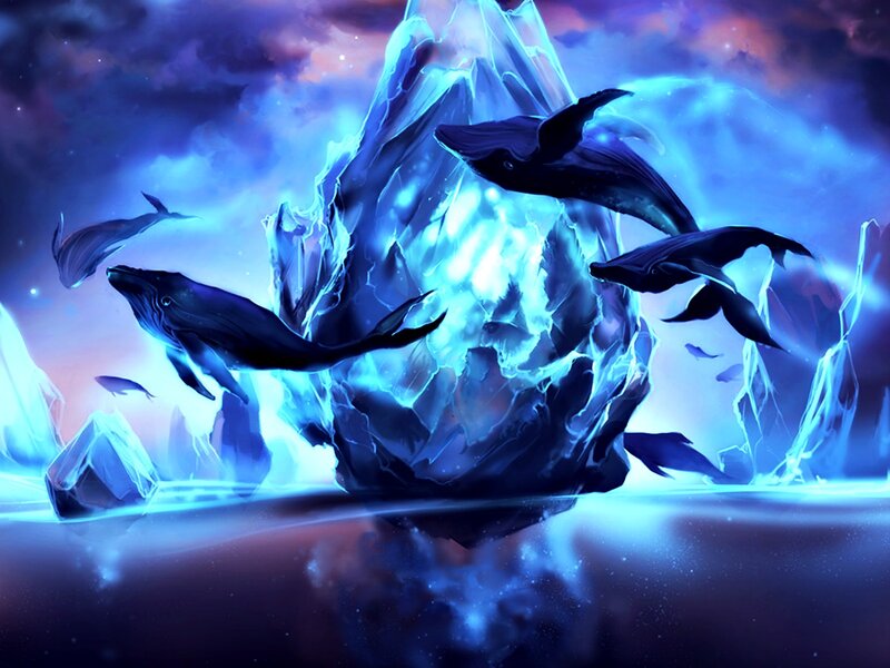Whales in Icy Water