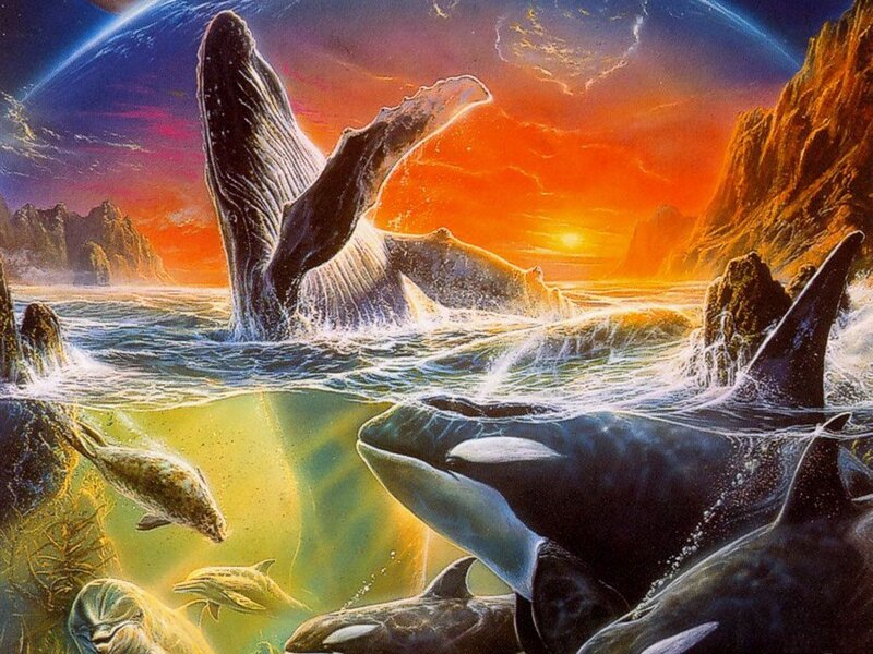 Whales in Ocean — Orange