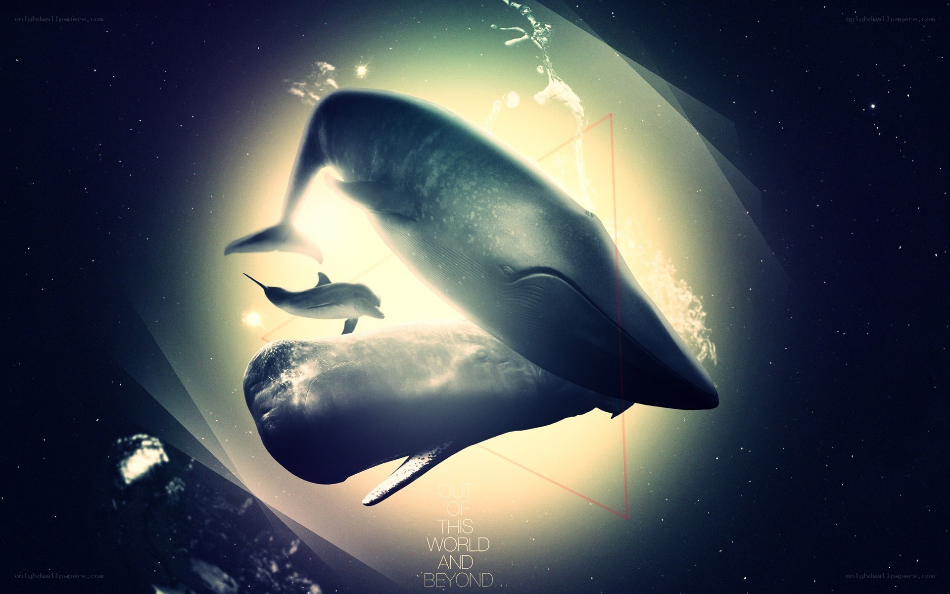 whales in space