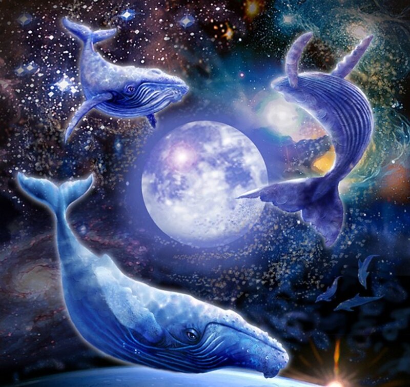 Whales in Space — Blue