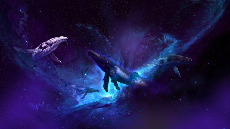 Whales in Space — Purple