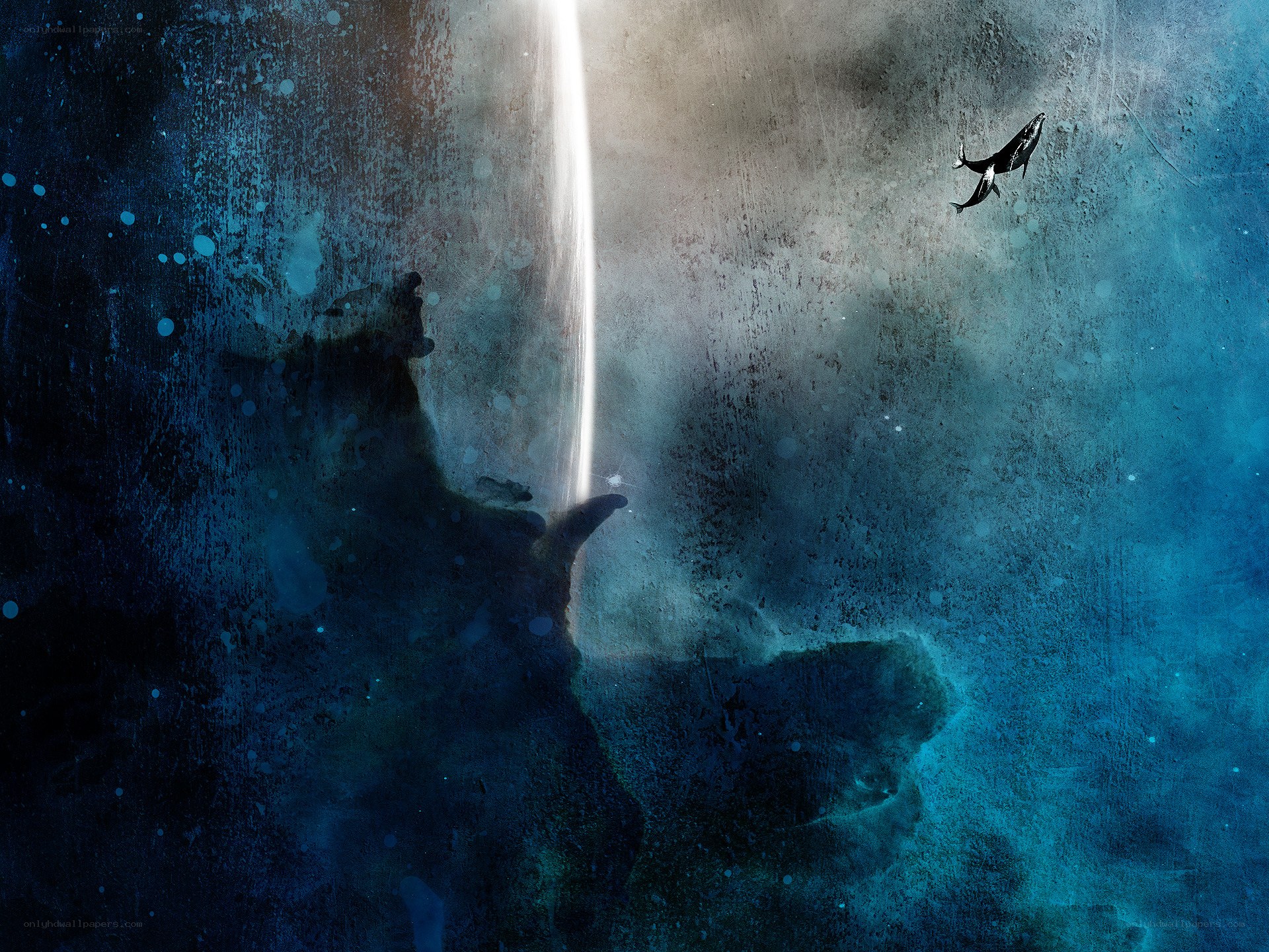 Whales in the light beam