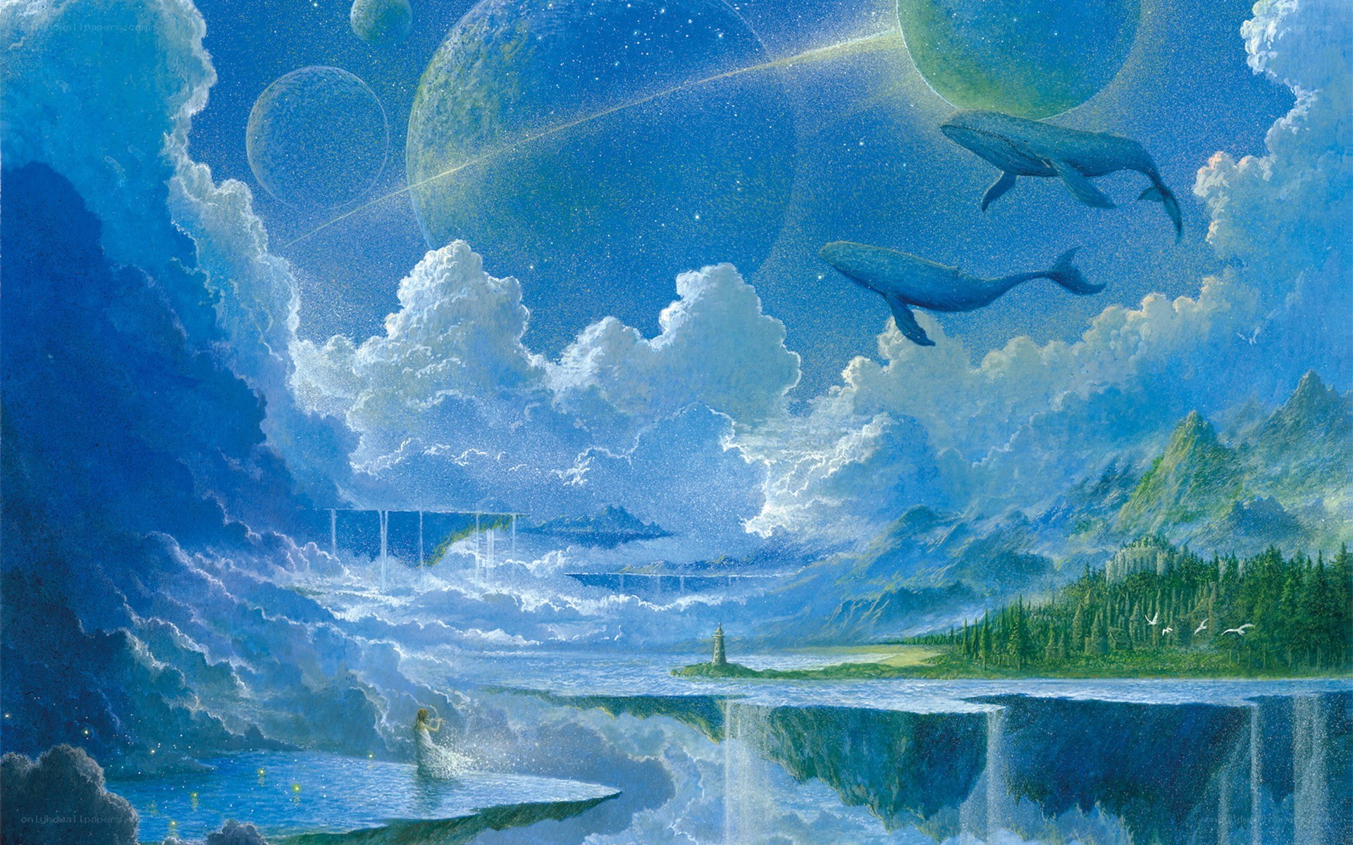 Whales in the sky
