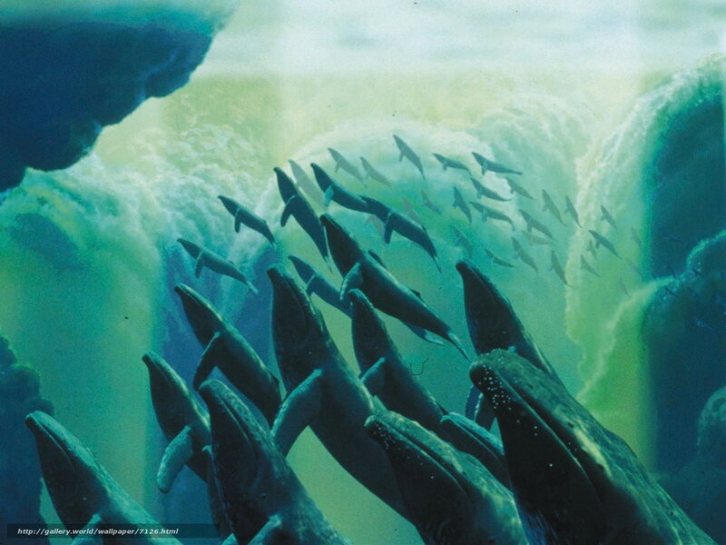 Whales in Underwater Cave