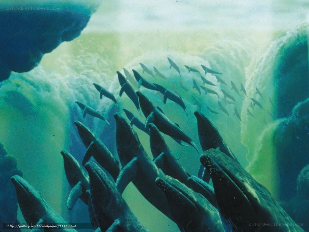 Whales in Underwater Cave