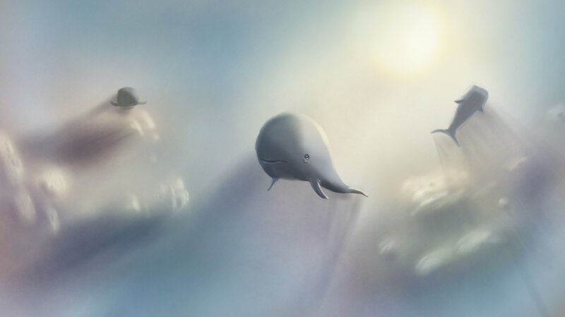 Whales in Water