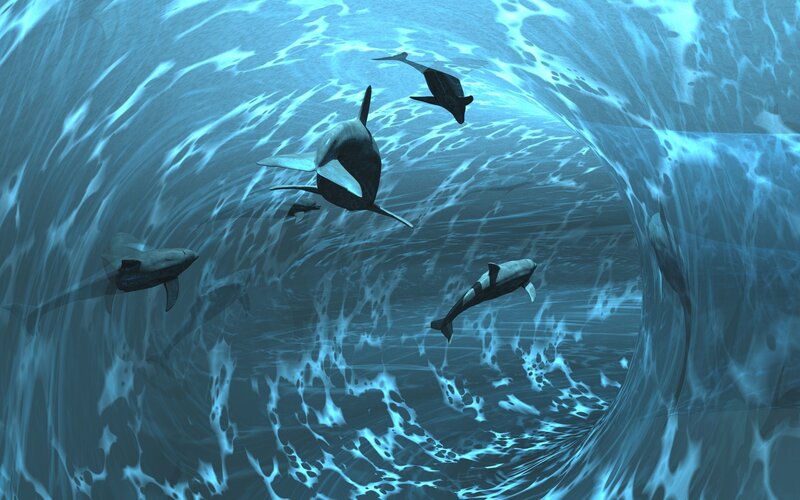 whales swimming in ocean tunnel