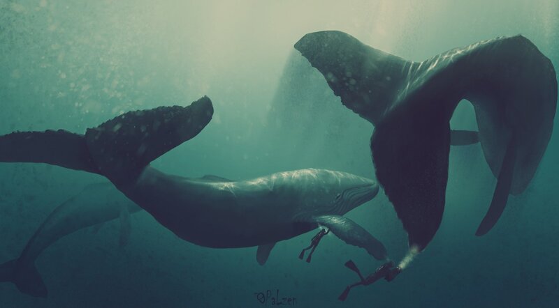 Whales Underwater — Blue