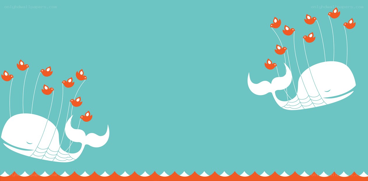 whales with birds illustration